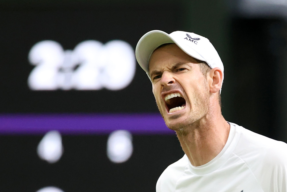 温网轻取戴维斯杯,穆雷刷新纪录 温网轻取戴维斯杯,穆雷刷新纪录